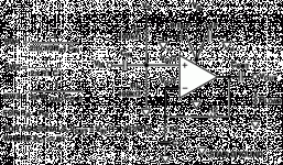 Fig1.gif