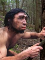 image_1620_1-Homo-erectus.jpg