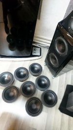 sasha bass drivers_resize.jpg