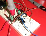 Nixie Brbrd.jpg