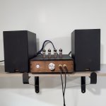 pp amp1.jpg