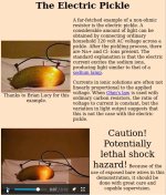 Electric Pickle.jpg