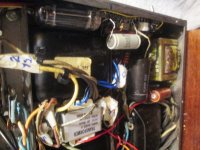 psu_1081.jpg