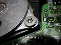 440px-Torx_screw.jpg