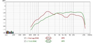 FR fried egg and T110.jpg