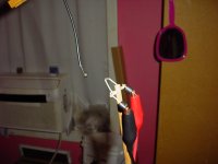 DSC02078.JPG
