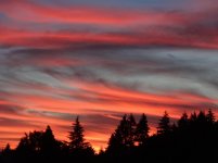 DSC02788.jpg