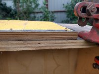 ply and ply.jpg