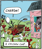 Chicken Coup.gif