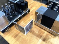 BOTH MONO 2 CAGE OFF 1.jpg