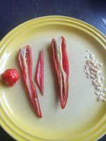 IMG_20210829_100403_638.jpg