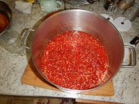DSCN7569.jpg