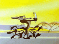 IMG_1801.GIF