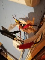 IMG_20210820_083508.jpg