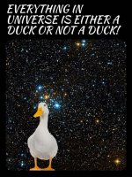 Not a Duck.jpg