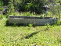 IMG_7198.jpg