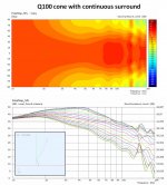 q100-cone-w-surround.jpg