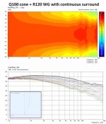 q100-cone-R120WG-w-surround.jpg