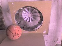 con pelota.jpg