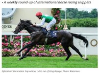 Coronation Cup Winner Pyledriver.jpg