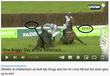 One Boggy Day at the Racetrack.jpg