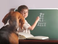 Dog Maths.jpg