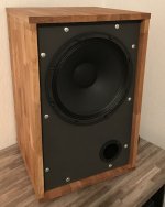 celestion coax monitor (16).JPG