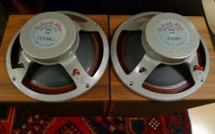 389347-e1c26067-richard_allan_cg12_12_coaxial_drivers.jpg