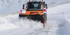 snow markers.jpg