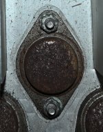 DSC_2021.JPG