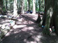 IMG_20200509_121803.jpg