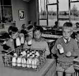 Free School Milk.jpg