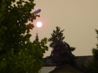 DSCN7409.jpg