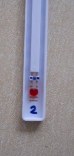 T2.jpg