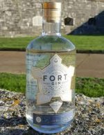 Fort Gin.jpg
