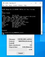 TeraTerm_Download_Filter.jpg