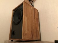 celestion coax monitor (12).JPG