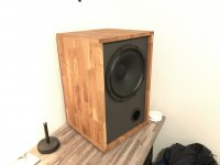 celestion coax monitor (13).JPG