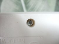 Unknown Screw-1.jpg