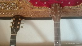 Gibson Neck.jpg