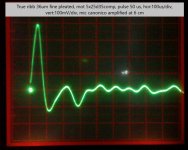 true rib_36.jpg