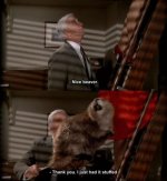 Nice beaver.jpg
