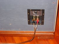 input1.jpg
