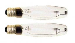 bulb.jpg