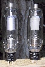 8020s.jpg
