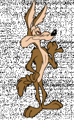 wile11.gif
