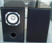 fostex-fx120-bass-reflex-sm.jpg
