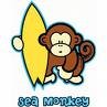 monkey.jpg