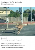 roo.png