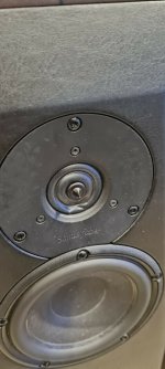 Damaged Cremona m tweeter.jpg